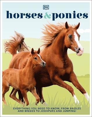 Horses & Ponies 1