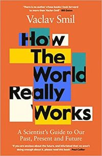 bokomslag How the World Really Works: A Scientist's Guide to Our Past, Present and Future