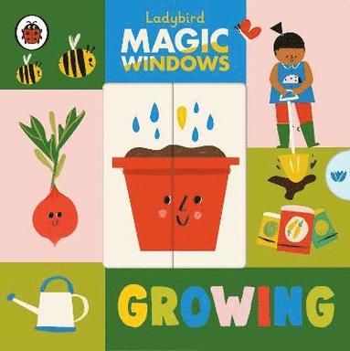 bokomslag Magic Windows: Growing