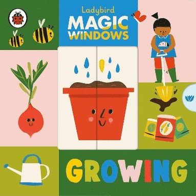 bokomslag Magic Windows: Growing