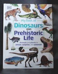 bokomslag My Book of Dinosaurs and Prehistoric Life