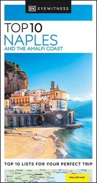 bokomslag Naples and the Amalfi Coast Top 10