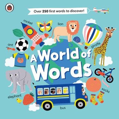 Ladybird, Ladybird - World of Words, Kartonnage
