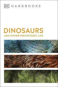 bokomslag Dinosaurs and Other Prehistoric Life