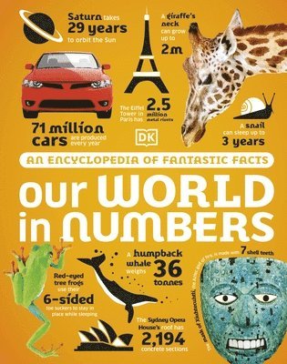 bokomslag Our World in Numbers