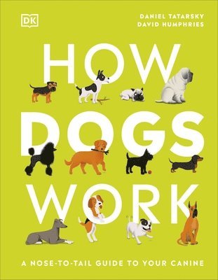 Daniel Tatarsky - How Dogs Work, Inbunden