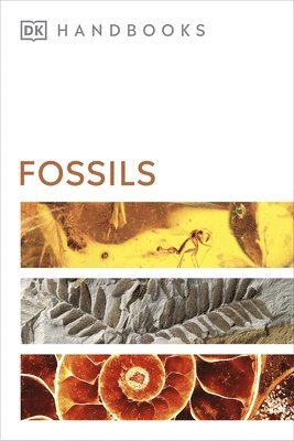 DK, David Ward - Fossils, Häftad