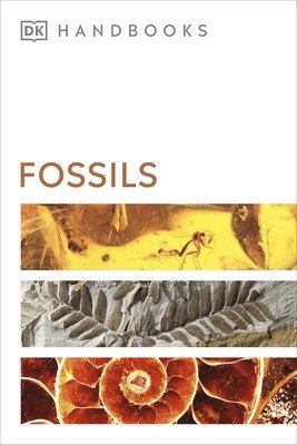 bokomslag Fossils