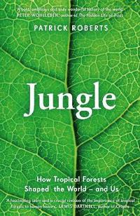 bokomslag Jungle