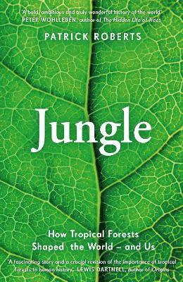 Jungle 1