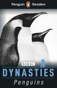 bokomslag Penguin Readers Level 2: Dynasties: Penguins (ELT Graded Reader)