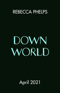 bokomslag Down World
