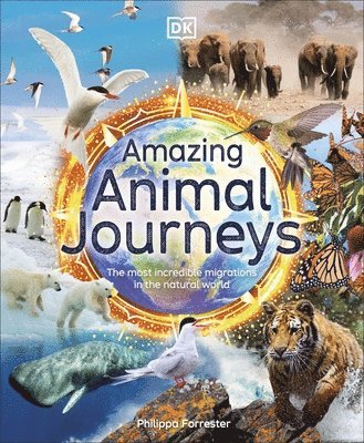 bokomslag Amazing Animal Journeys