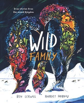bokomslag Wild Family