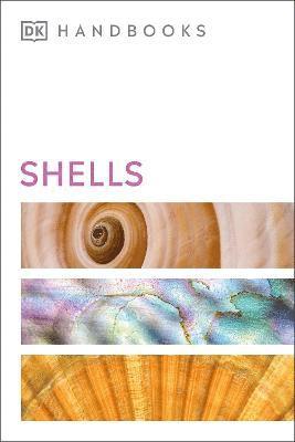 Shells 1