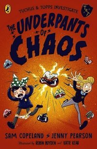 bokomslag The Underpants of Chaos