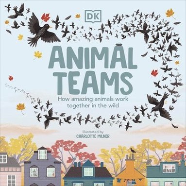 bokomslag Animal Teams