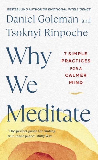 bokomslag Why We Meditate