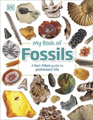 My Book of Fossils 1