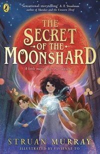 bokomslag The Secret of the Moonshard