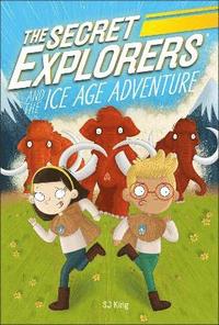 bokomslag The Secret Explorers and the Ice Age Adventure