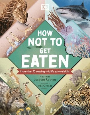 Josette Reeves - How Not to Get Eaten, Inbunden