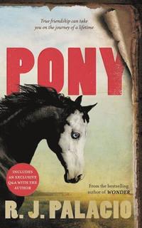 bokomslag Pony