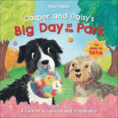 bokomslag Casper and Daisy's Big Day at the Park