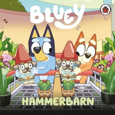 bokomslag Bluey: Hammerbarn