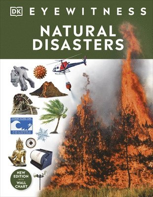 Natural Disasters 1
