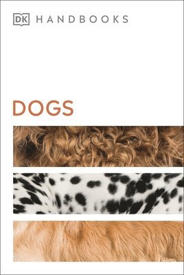 bokomslag Dogs