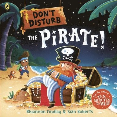 bokomslag Don't Disturb The Pirate
