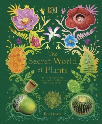 Ben Hoare - Secret World of Plants, Inbunden