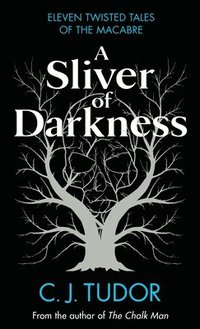 bokomslag A Sliver of Darkness