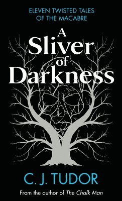 A Sliver of Darkness 1