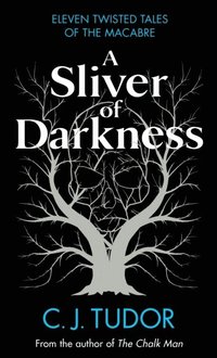 bokomslag Sliver Of Darkness