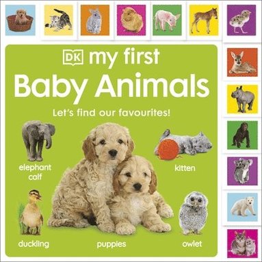 DK - My First Baby Animals: Let's Find Our Favourites!, Kartonnage