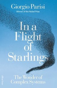 bokomslag In a Flight of Starlings