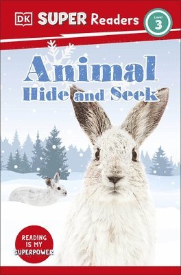 bokomslag DK Super Readers Level 3 Animal Hide and Seek