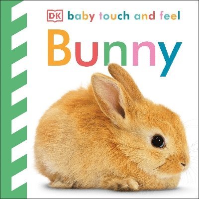 Baby Touch and Feel Bunny 1