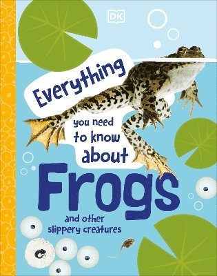 bokomslag Everything You Need to Know About Frogs