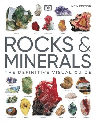 DK - Rocks & Minerals, Häftad