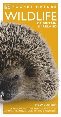 Pocket Nature Wildlife of Britain and Ireland 1