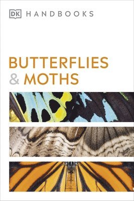 David Carter - Butterflies and Moths, Häftad