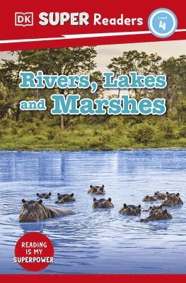 bokomslag DK Super Readers Level 4 Rivers, Lakes and Marshes