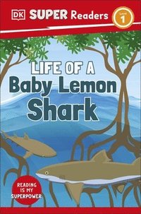 bokomslag DK Super Readers Level 1 Life of a Baby Lemon Shark