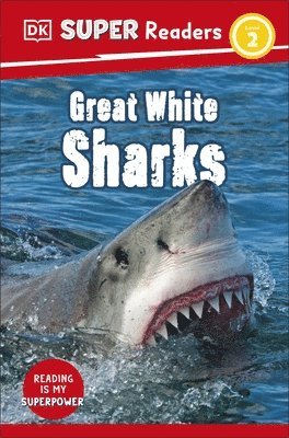 bokomslag DK Super Readers Level 2 Great White Sharks