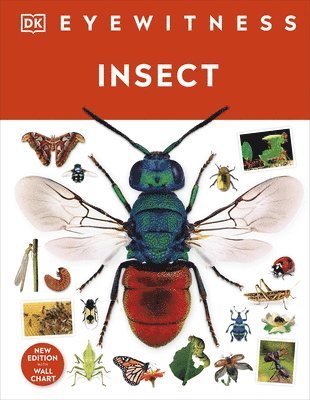 DK - Insect, Inbunden