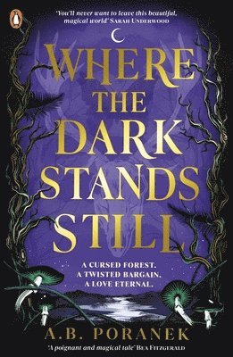 Where the Dark Stands Still 1