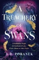 bokomslag Treachery Of Swans